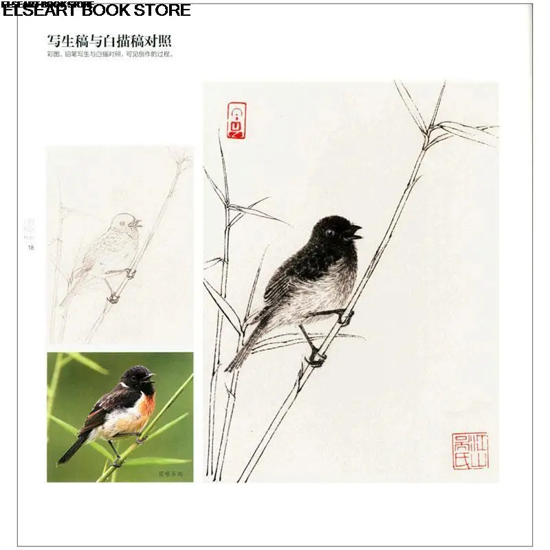 Analysis of the structure of traditional Chinese painting techniques of songbird flower and bird painting