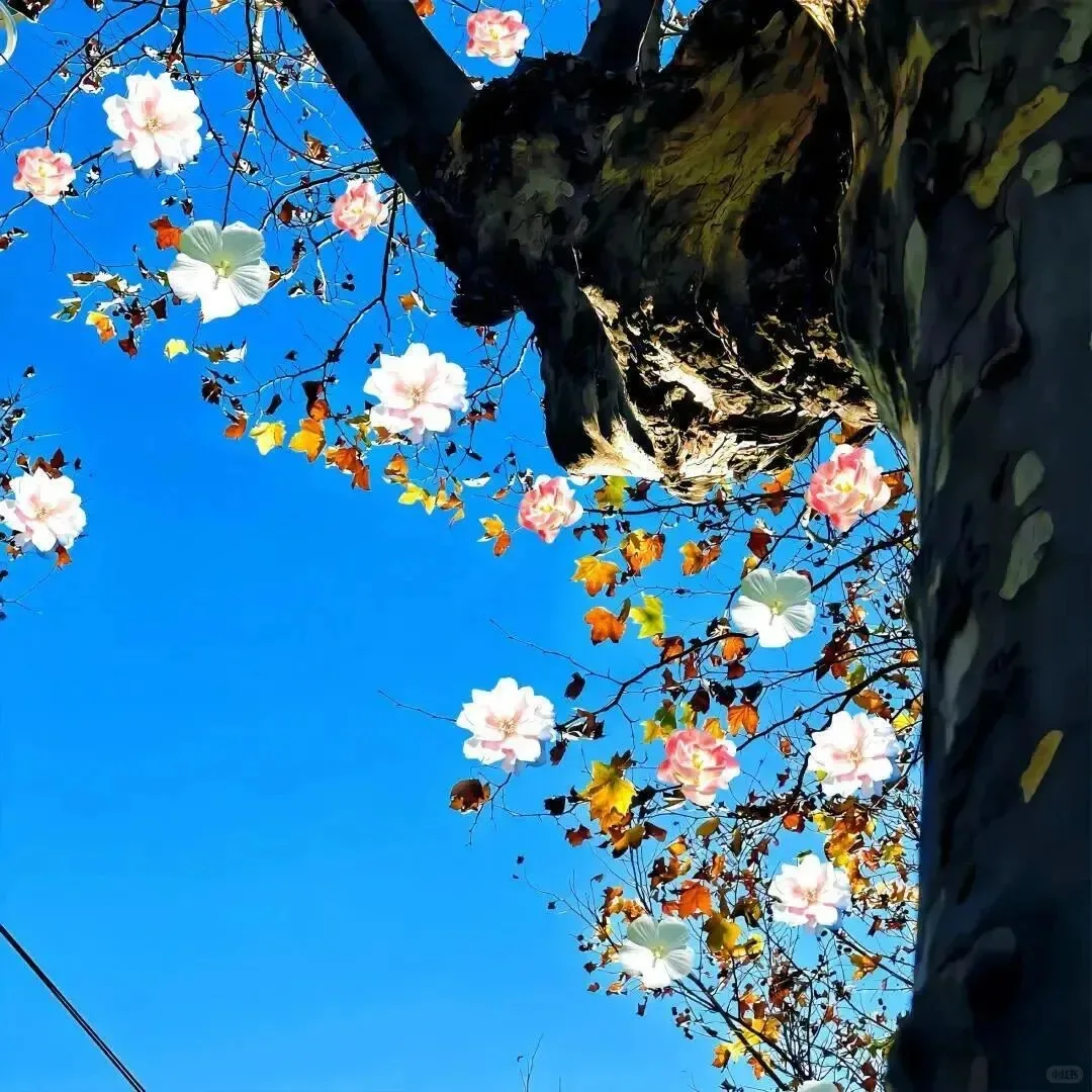 

Diode laser 808nm permanent hair remo device 3 wavelength 755 808 1064 ipl Laser Hair Remo Machine