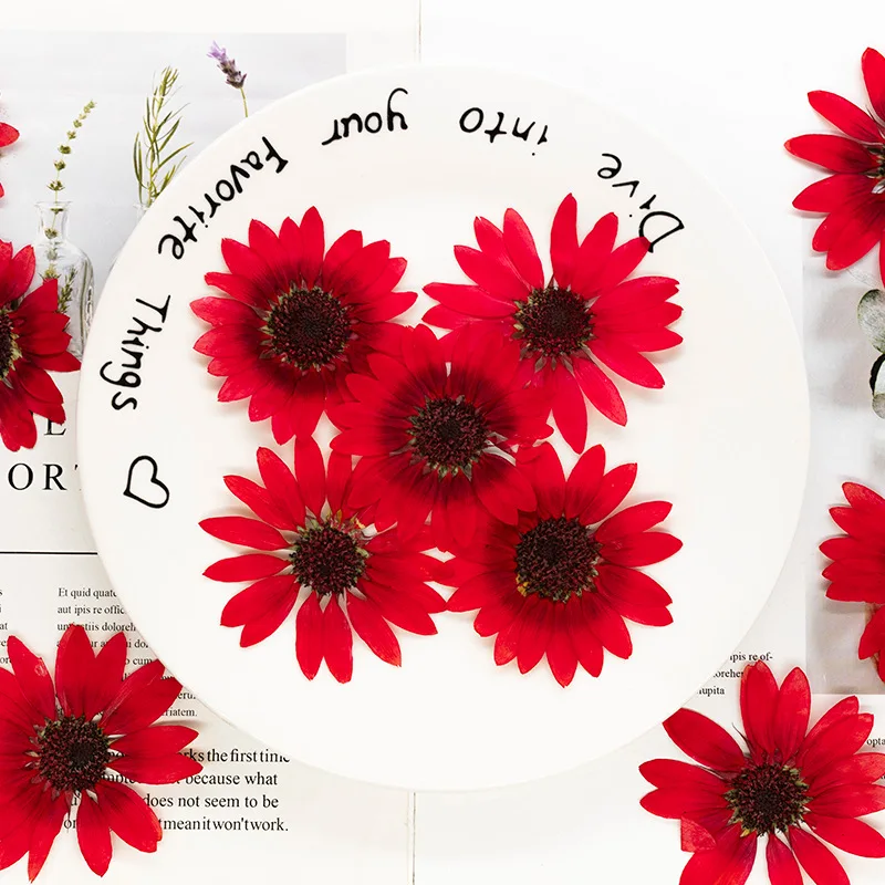 2 Stück, 6-8 cm, getrocknete gepresste Sonnenblumen für Harzformen, echte Blumen für DIY-Handyhüllen, Tischlampen, Wandkunst & Scrapbooking-Dekoration – Detail 4