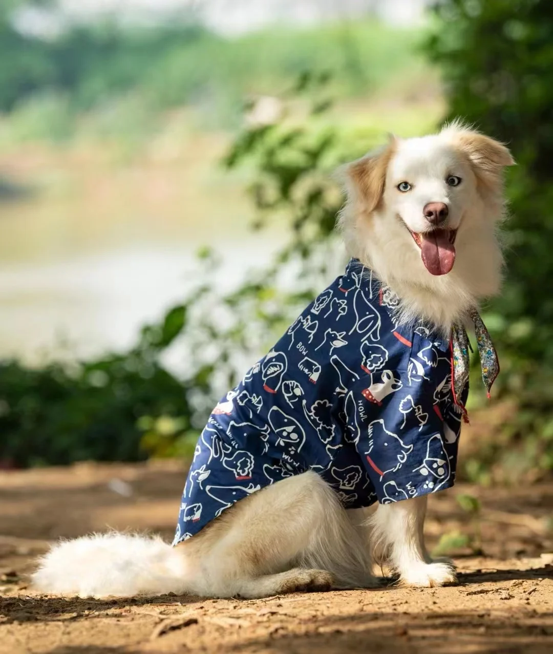 Spring Summer Cotton Lightweight Dog Shirt | Trendy Anti-dirt Anti-shedding Sun Protection Apparel for Large Dogs Border Collie