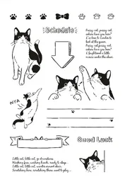 1 Piece Cute Cat Stamps for Kids Transparent Silicone Cartoon Kitten Stamp DIY Decor Scrapbook Journal Stamp Student Supplies