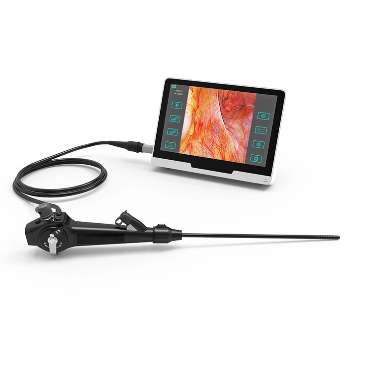 Newest Medicals pleuroscopes Surgicals rigid thoracoscopics endoscopes portable video thoracoscopes