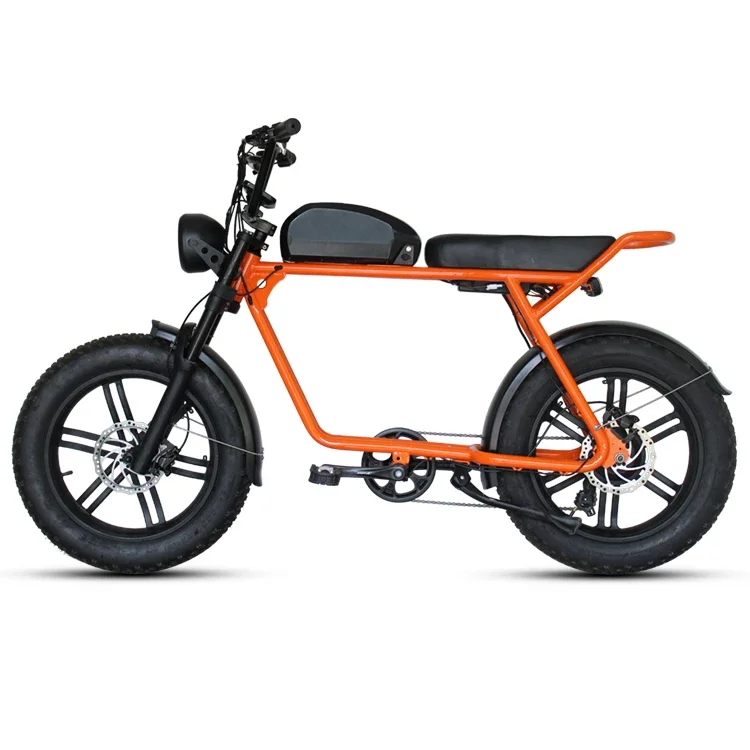 

Electric bicycle fat tire mountain bike ebike with 48V 1000W motor 16Ah lithium battery disc brake high quality suspension