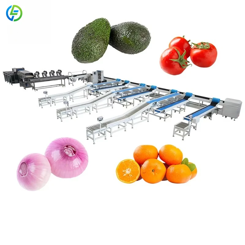 Factory Price Root Vegetable Grading Machine Tomato Carrot Sorting Machine Cucumber Sorter Machine Customized