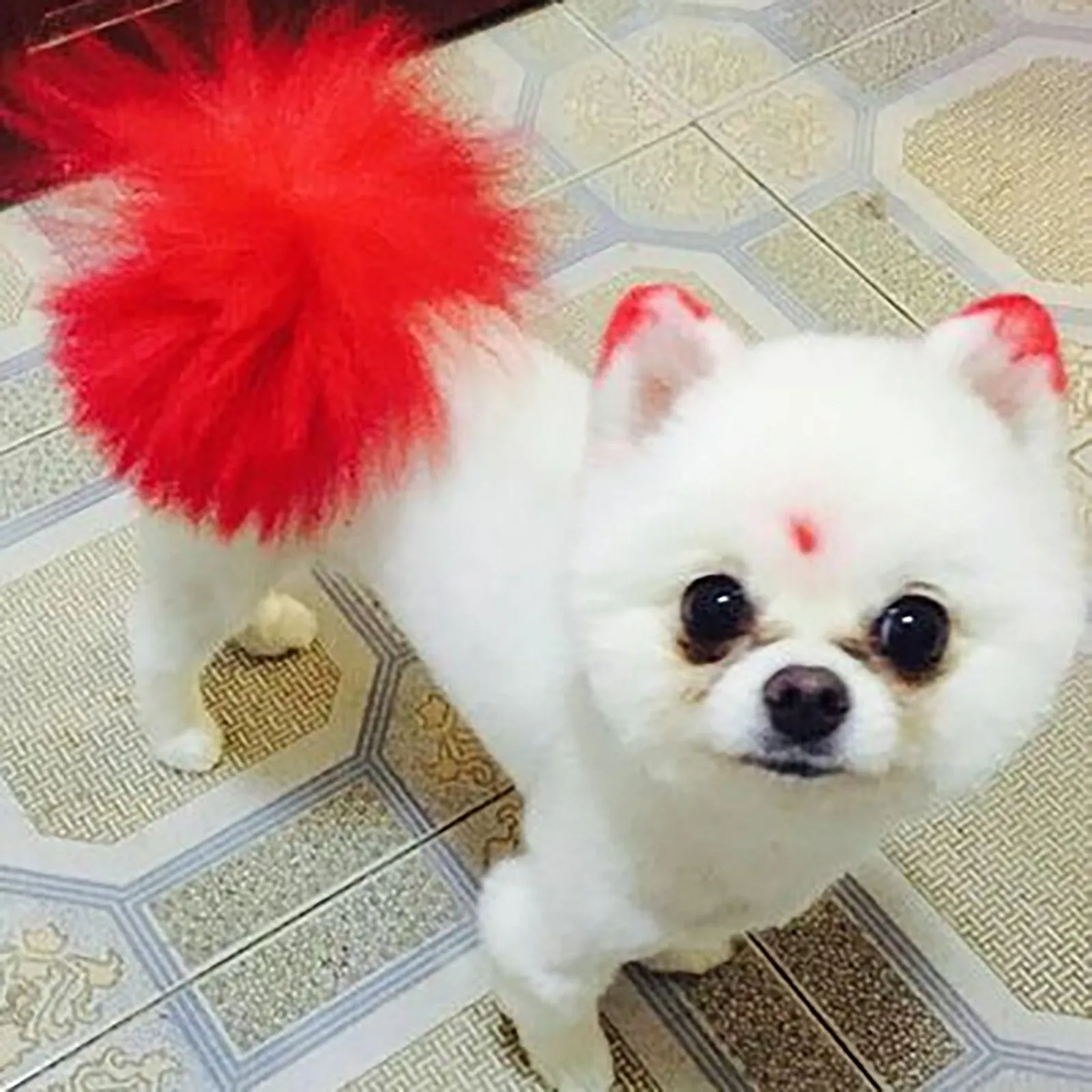 100ml Professional Pet Stain Anti Allergic Dog Hair Dye Cream Coloring Agent Direct Daub No Stimulation Pet