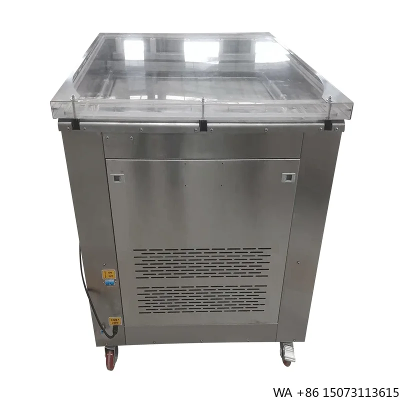 Vacuum Portable External Sealer with Steel Home Freshness for Fish Meat and Food Preservation