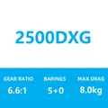 2500DXG