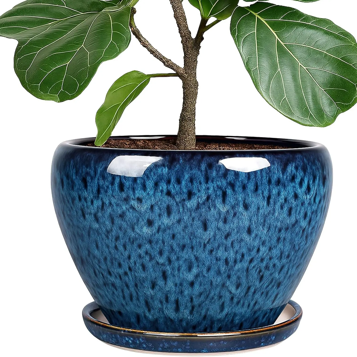 

10-дюймовый керамический цветочный горшок с дренажными отверстиями и поддоном, синий, для комнатных и уличных растений