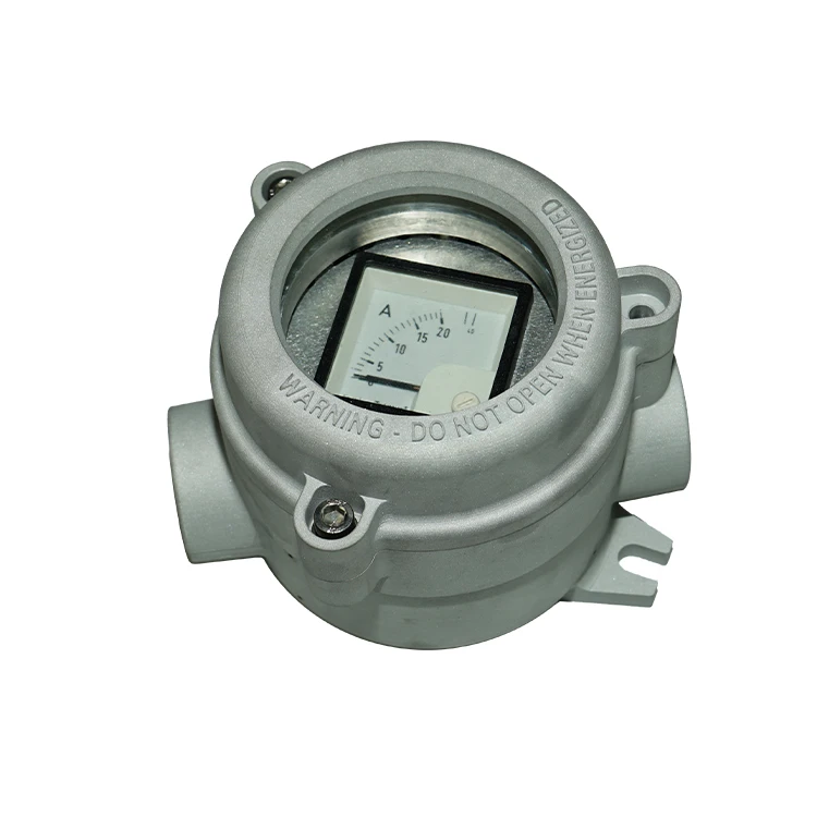 Zone 1 IP66 IECEX Explosion Proof Control Unit Pushbutton Indicator Currency Meter Optional Dual and Tripartite Systems