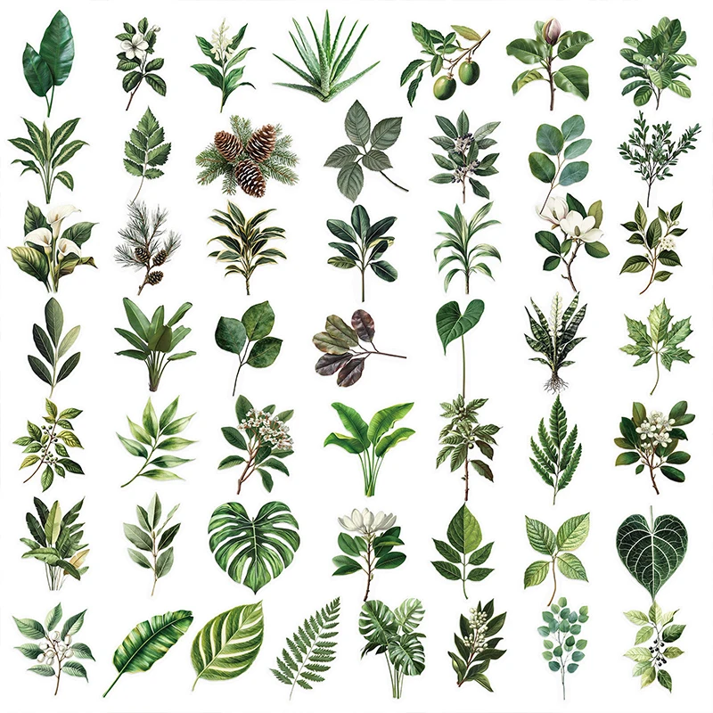 50 pièces feuilles de plante verte autocollants bricolage cahier valise vélo bouteille d'eau étui de téléphone portable Transparent Graffiti feuilles décalcomanies