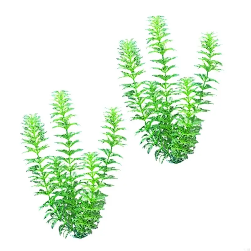 92MF Аквариумы.