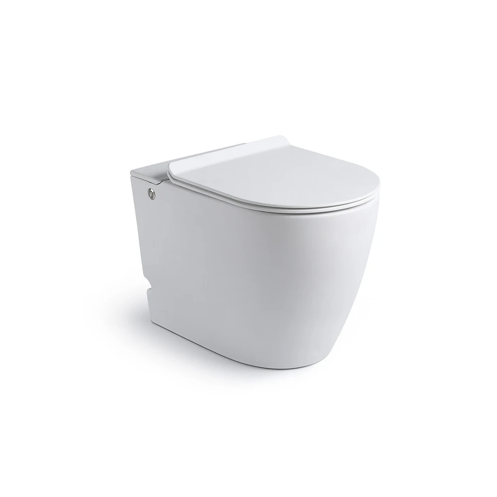 

Floor Mounted White Glazed Ceramic Pulse Toilets