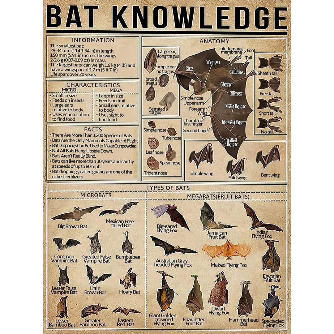 Funny Retro Metal T… - image