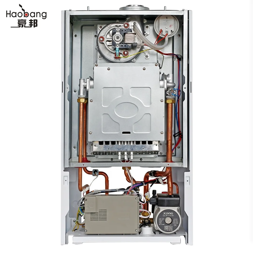 Domestic Steel Storage Tankless Natural Gas Boiler For Heating System Portable Wall-Mounted For Household Shower Water Usage