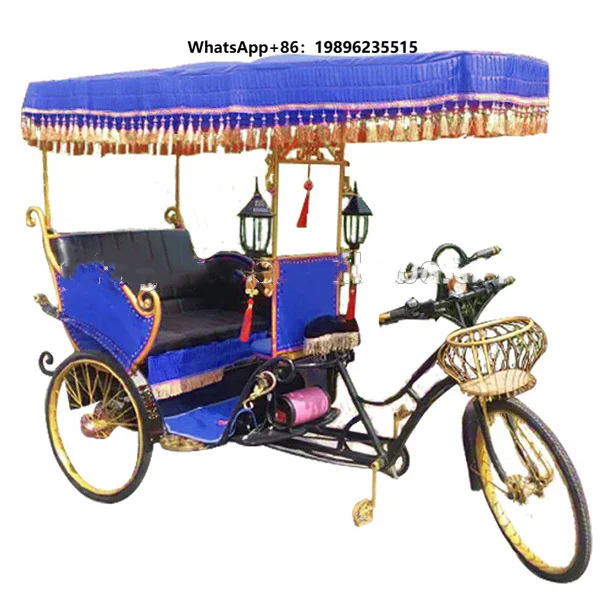 Electric Trcycle Battery Motor Three Wheel Electric Travel Cars