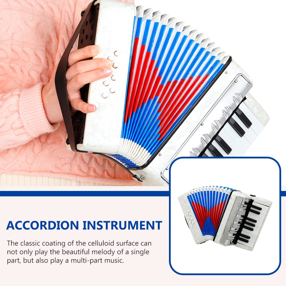 

Accordion Educational Plaything Introductory Musical Instrument Portable Student