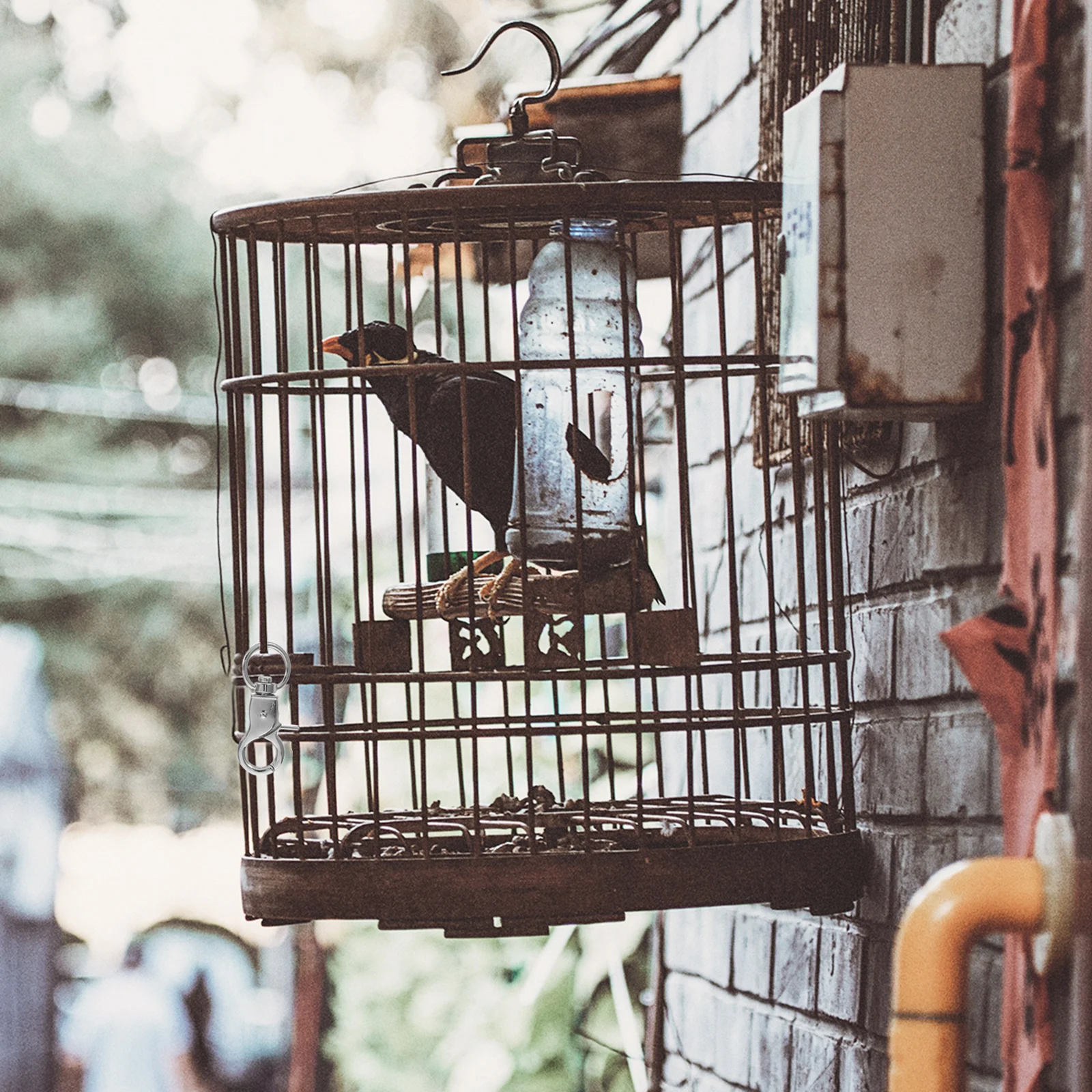 5Pcs Bird Cage Lock Buckles Swivel Spring Snap Hooks Easy to Use for Various Pet Cages Rust-Resistant Bird Lobster Clasp