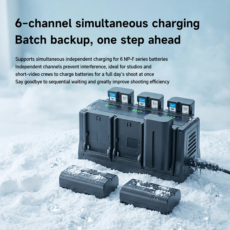 6 Channel NP-F Battery Charger Detachable Plates Simultaneous Charging LED Display USB Output for Sony NP-F Series Filming