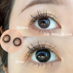 UYAAI 1 Pair Myopia Lenses Color Contact Lenses for Eyes Prescription Grey Korean Lenses Brown Natural Lenses With Diopters