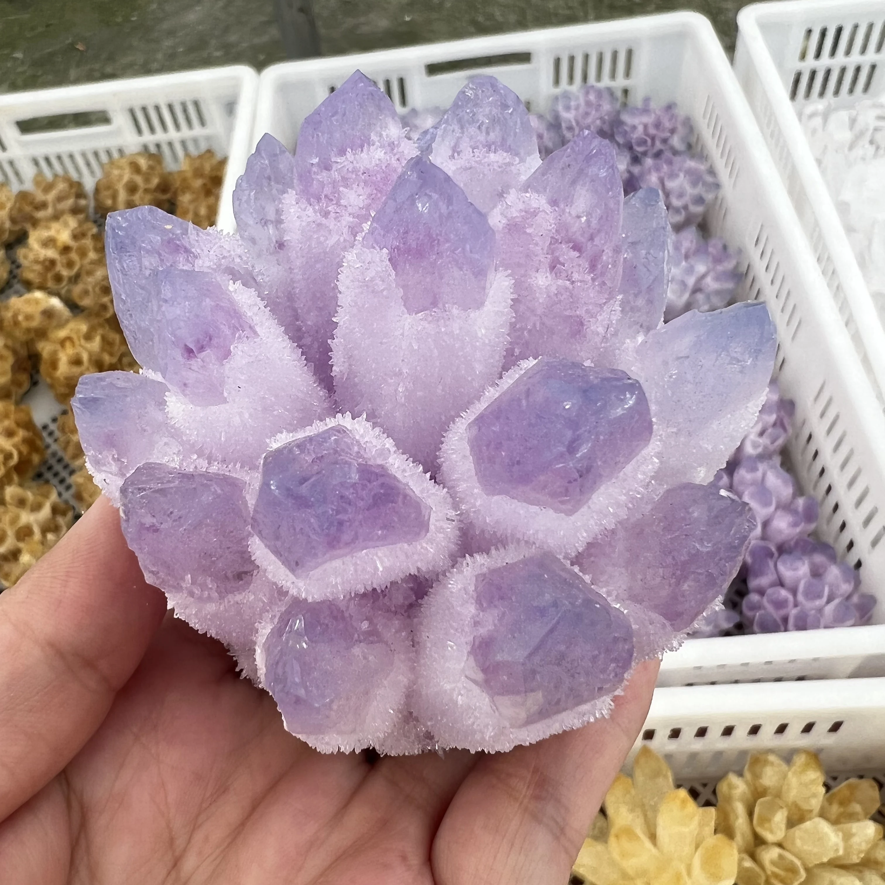 New find purple Phantom Crystal Cluster mineral samples healing