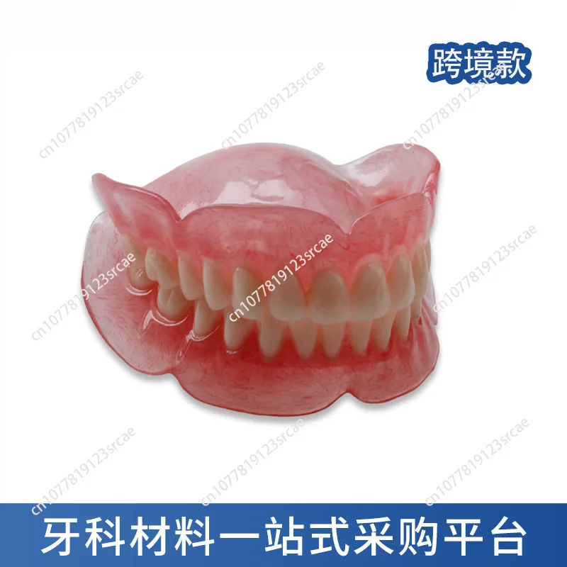 Models of the elderly full and half teeth. Batch sample models of full dentures are available