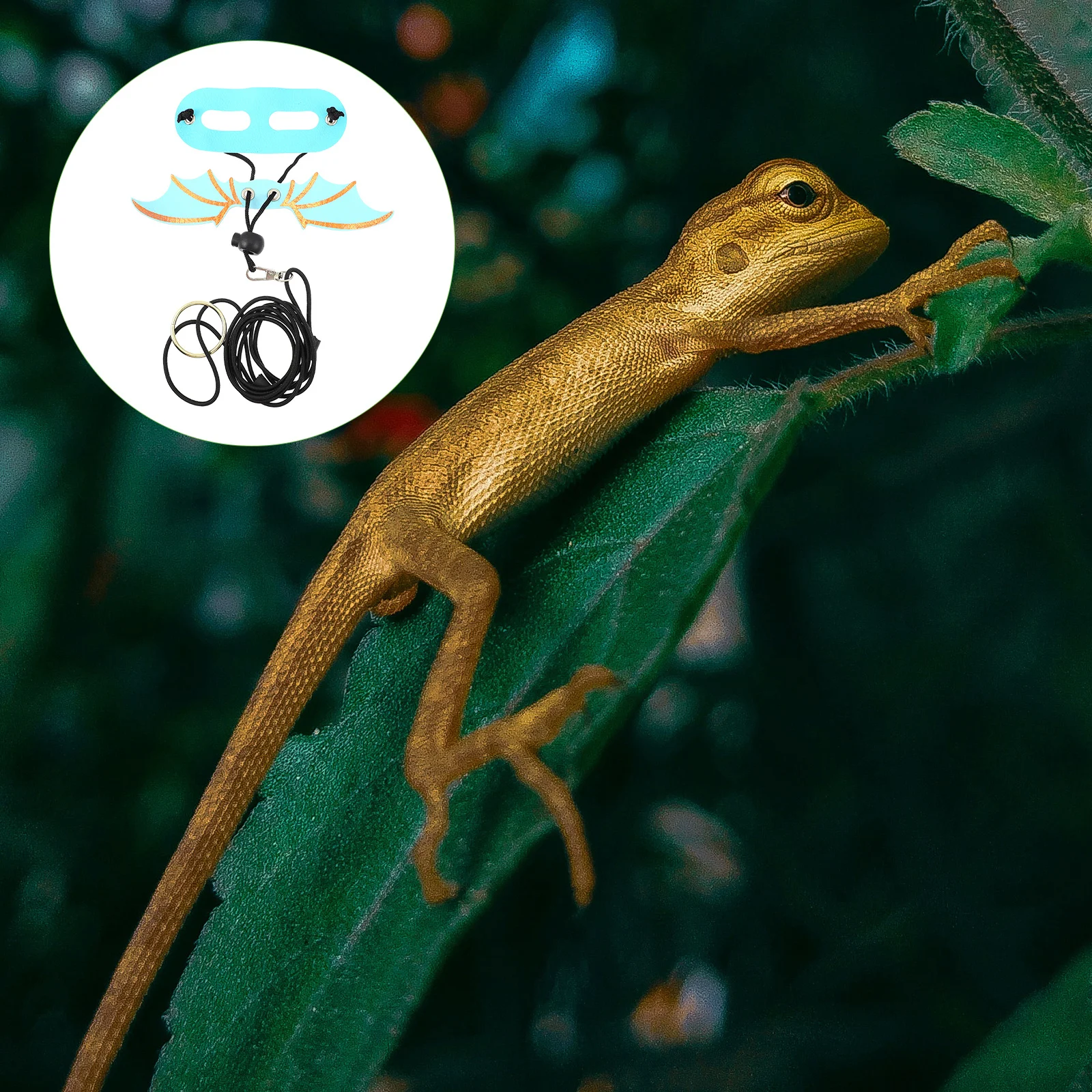 

5Pcs Adjustable Lizard Leash Set Reptile Harness Wing Design Leash for Walking Bearded Dragon Gecko Reptile Harness