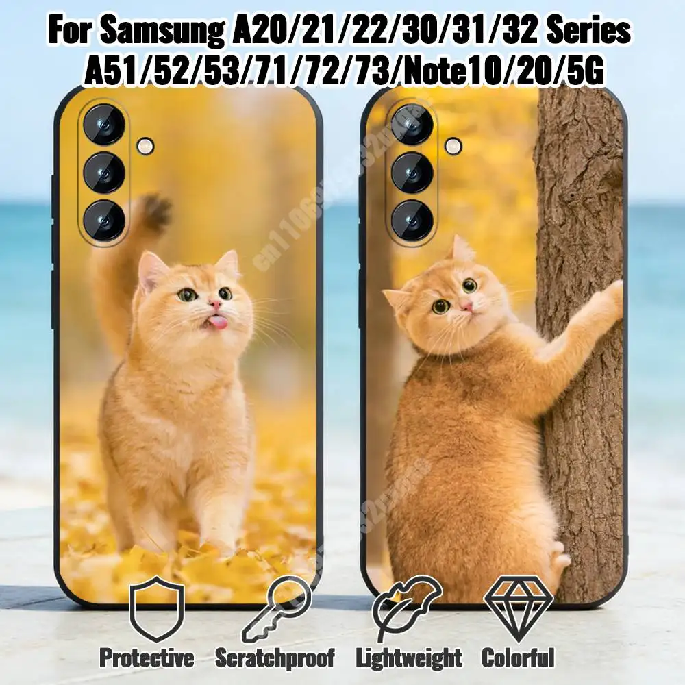 Golden British Shorthair Cat Phone Case for Samsung Galaxy A73 72 71 70 A32 31 30 S 5G 4G A13 A12 TPU Cover