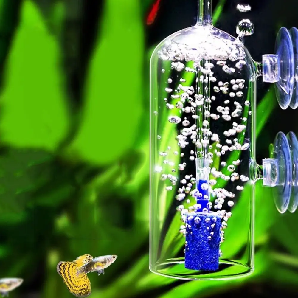 

Crystal Glass Fish Tank Dissolved Oxygen Device Anti-Splash Design Transparent Aquarium Oxygen Diffuser