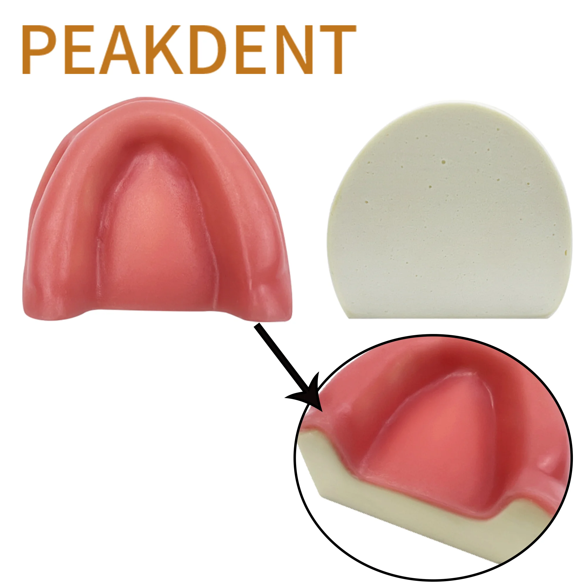 

Dental Teaching Model Edentulous Maxillary with Gingival Implant Practice Model for Demonstration Dentistry Students Examination