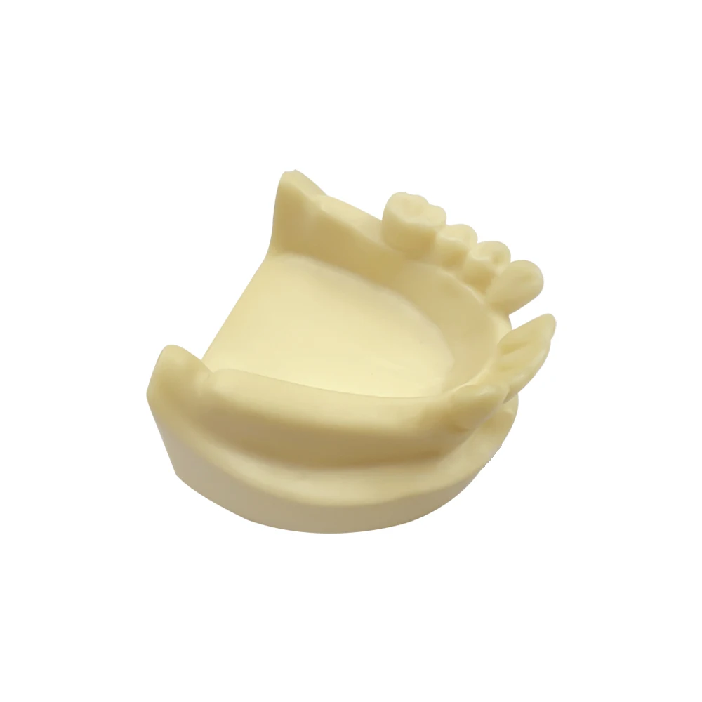 Lower Jaw Implant Model Missing Tooth Dental Teeth Model Practice Model For Training Teaching Practice Typodont Dentistry Model