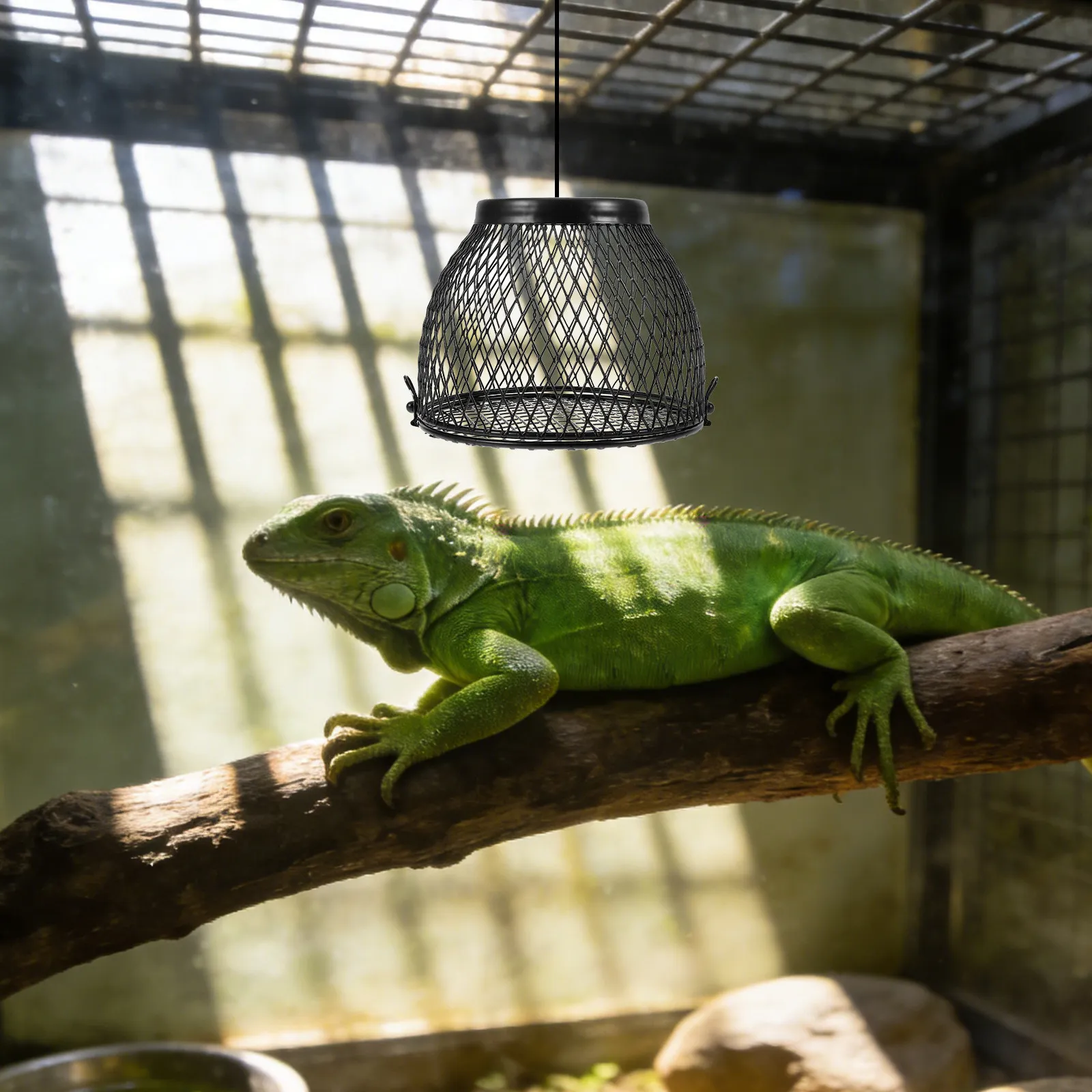 Reptile Heat Lamp Cage Heater Guard Mesh Cover Iron Art Anti Scald Lampshade for Lizard Bearded Dragon Turtle Snake Terrarium