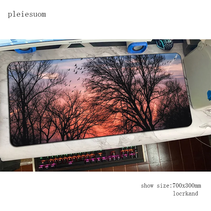 Sunset Large Gaming Mouse Pad Computer Gamer Best Seller Keyboard Mouse Mats XXL 30x80cm Large Desk Mousepad for PC Desk Pad