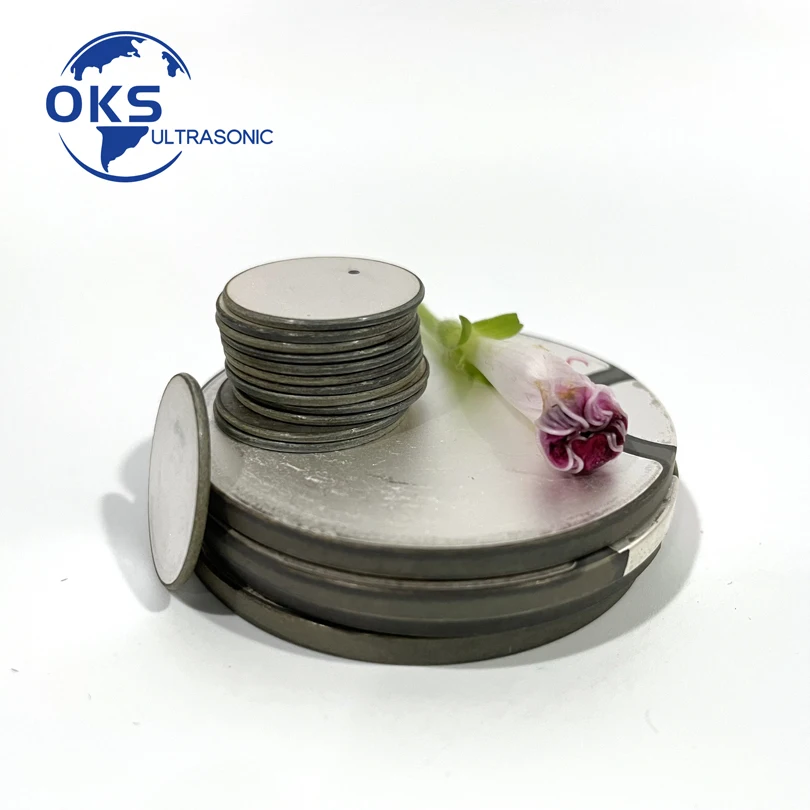 

50Pcs/Lot 10x2mm Customized Manufacture Various Types Piezo Ceramic Disc