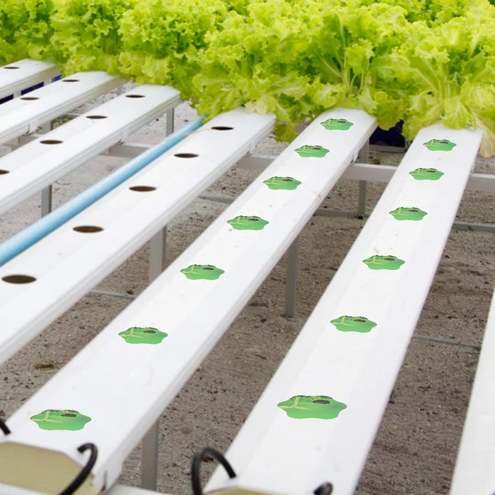 

50Pcs Hydroponic Garden Plant Growth Basket PVC Labels Indoor Soilless Grow Basket Stickers for Plant Marking and Growth