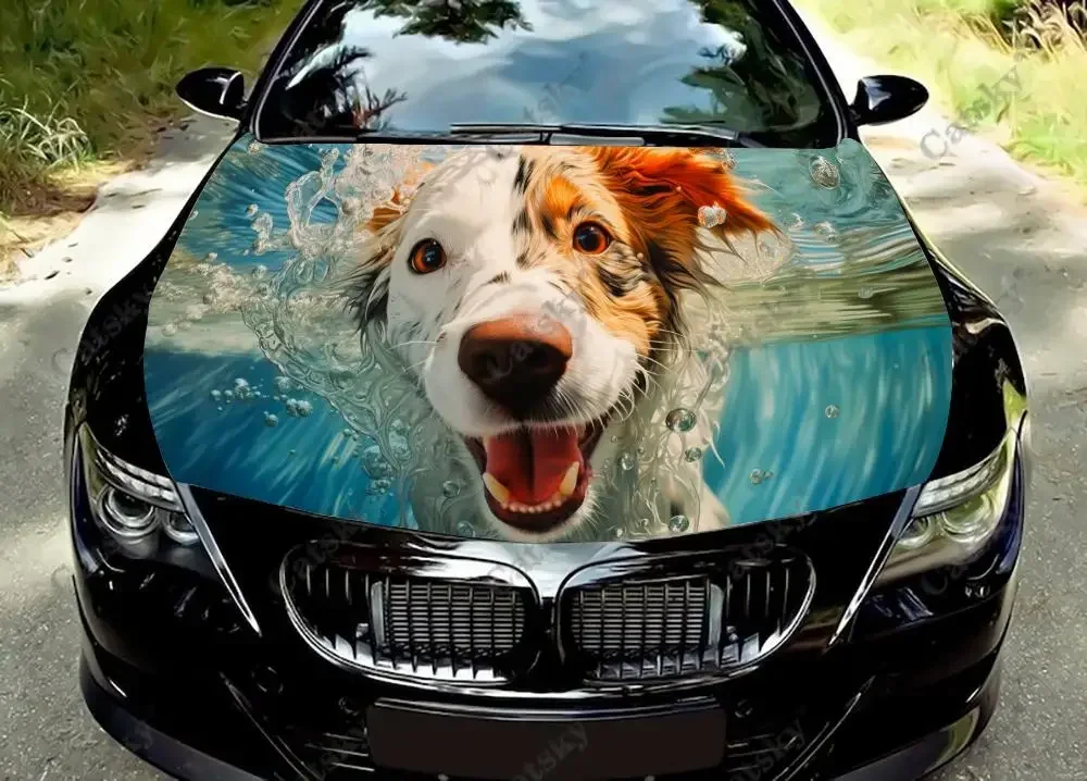 Funny Dog Swimming Underwater Car Hood Decal Truck Decals Vinyl Sticker Graphic Wrap Stickers Trucks Cars Bonnet Vinyls