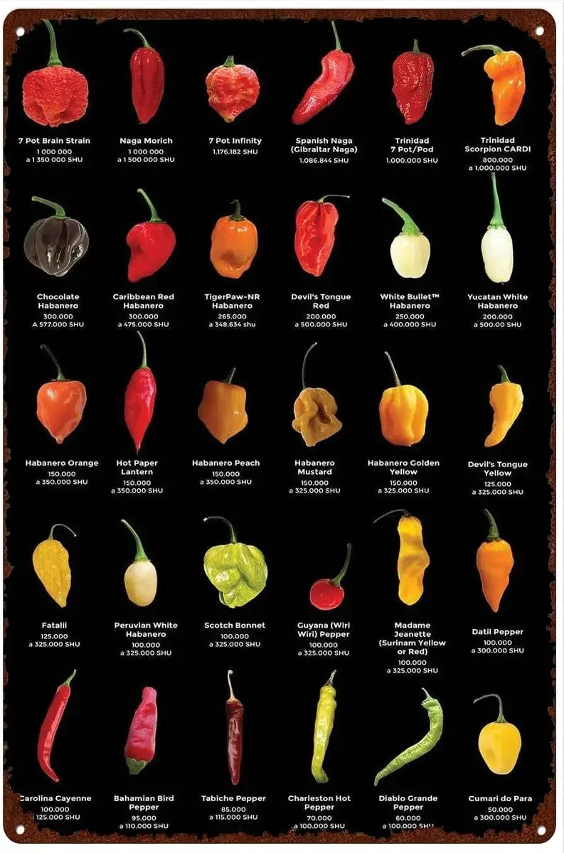 Retro Metal Tin Sign 8 X 12 Inches The Big List of Hot Peppers Hot World of Chili Print Poster Home Decor Wall Decor Anniversary