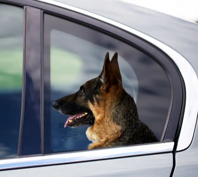 German Shepherd car window sticker , German Shepherd sticker, German Shepherd decal