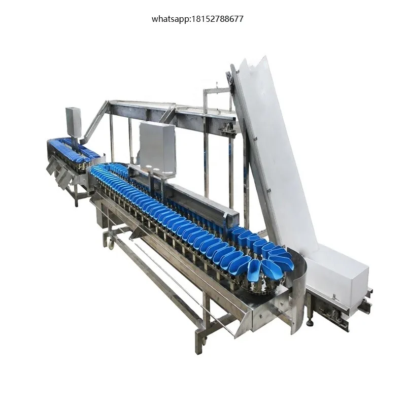 Food Industries Processing Vegetable Fruits Grading Machine Kiwi Sorting Grading Machine