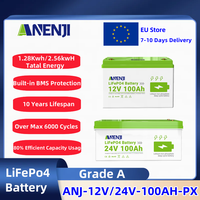 12V 24V LiFePO4 Solar Battery 100Ah With BMS Lithium Iron Phosphate Battery Rechargeable Batteries For Campers RV Solar