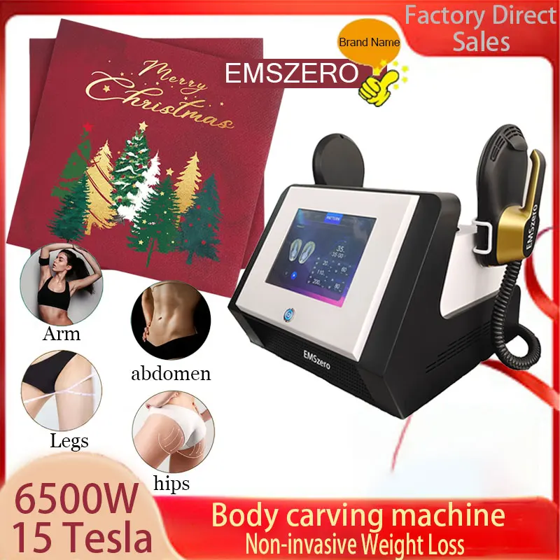 

EMS improves pelvic floor muscles 15 Tesla EMSZERO electromagnetic muscle training slimming machine RF non-invasive