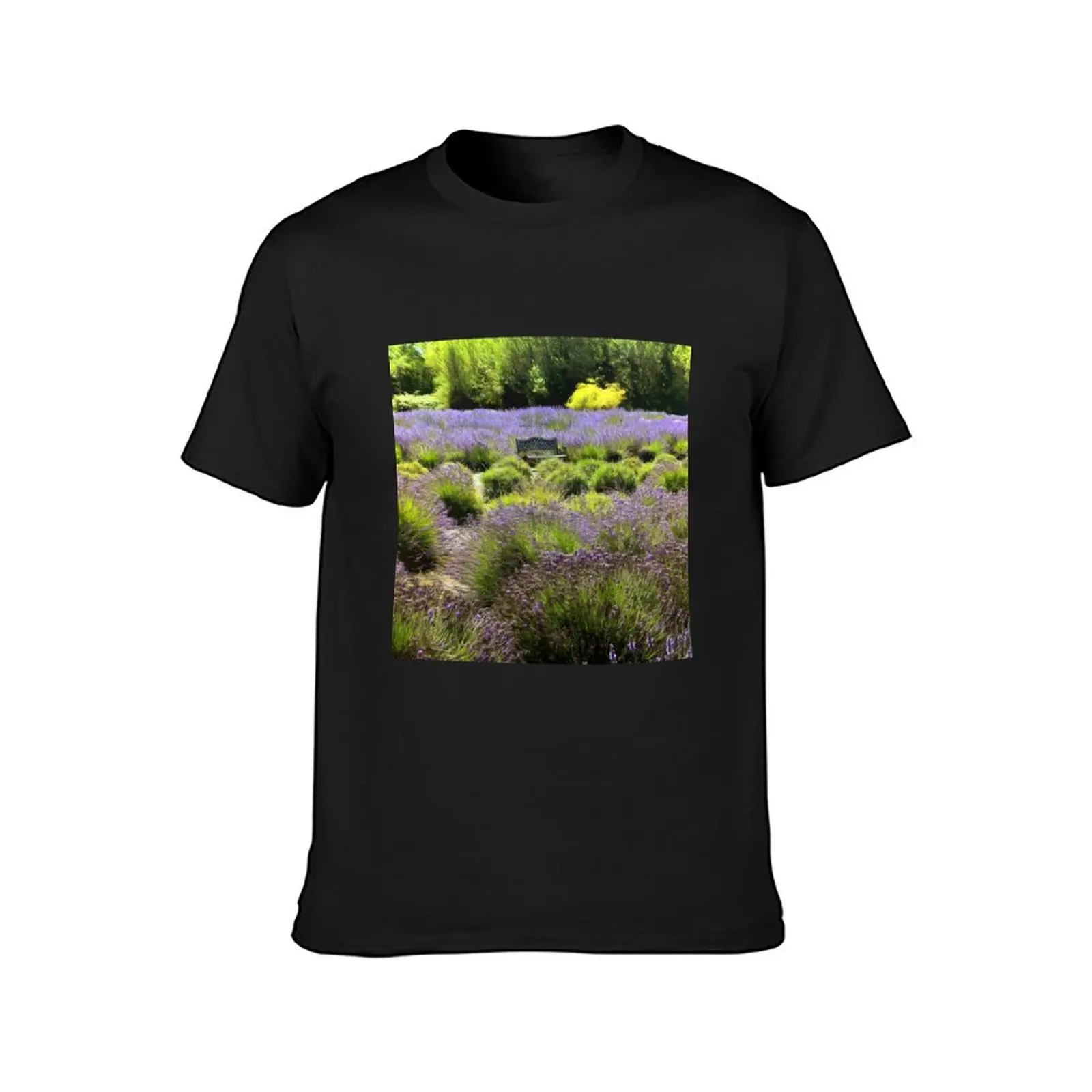 Bench in the Middle of a Sequim Lavender Field T-Shirt plus size tops animal prinfor boys plus sizes plain t shirts men