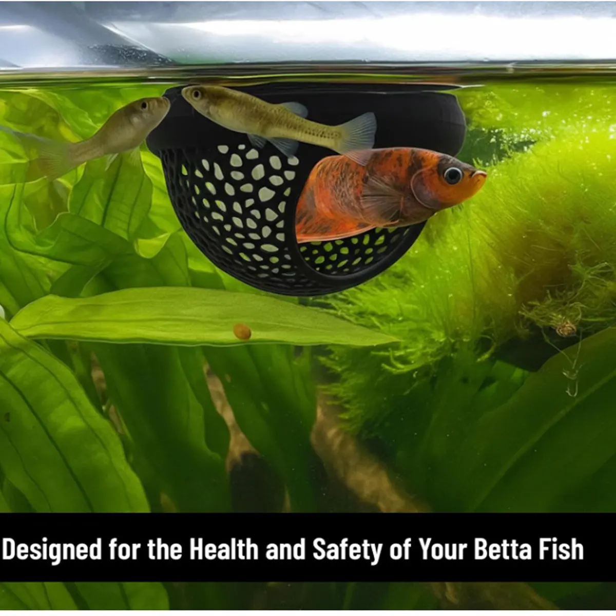 Betta Fish Floating Hammock Aquarium Tank Rest Bed Safe Floating Resting Spot for Betta Fish Shrimp Small Aquatic Creatures