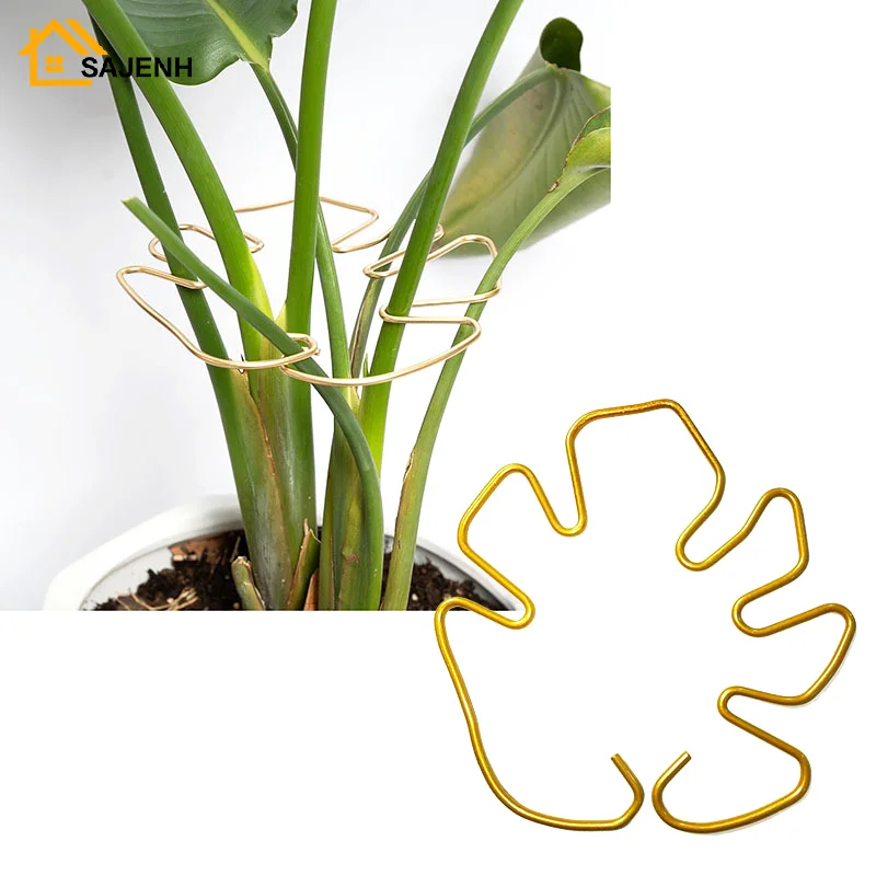 

Plant Stem Support Iron Monstera Plant Support Plant Stem Holder Support Bamboo Clamp For Plants Stabilization