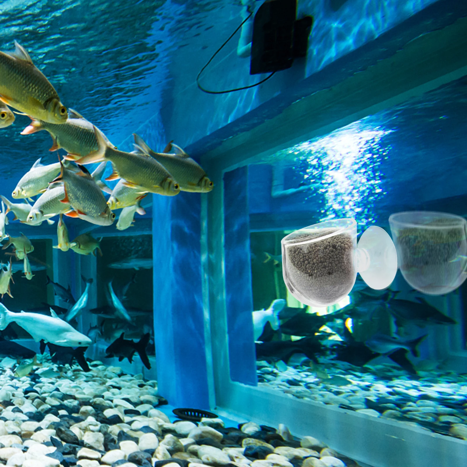 

2Pcs Crystal Glass Plant Pot with 2 Suction Cups Permeable Holes for Freshwater Saltwater Aquariums Aquatic Plant Cup