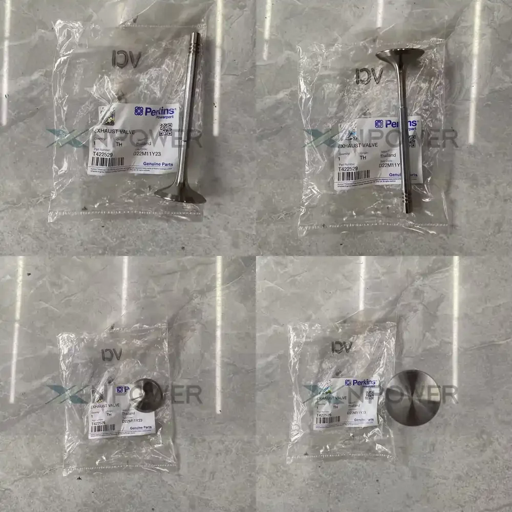 

2026 Hot Item Engine T422529 Excavator Parts 1204 1206 EXHAUST VALVE Machinery Engines for
