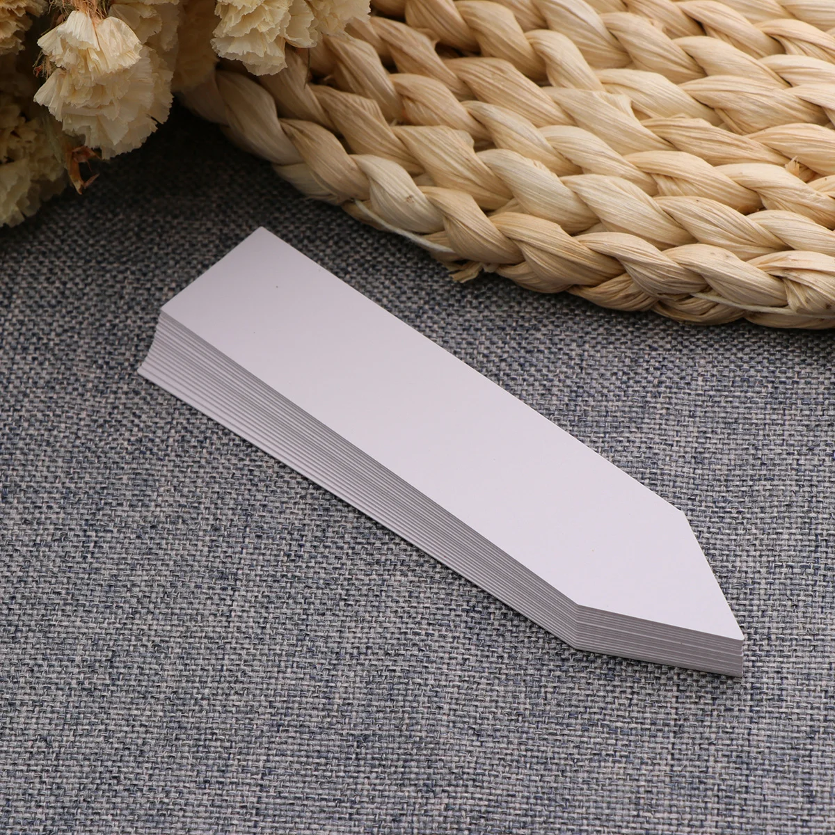 Étiquettes pour plantes de jardin, 100 pièces, blanches, 2x10cm, en Pvc, durables, résistantes aux Uv, finition mate, marqueurs en plastique réutilisables pour pépinière et intérieur