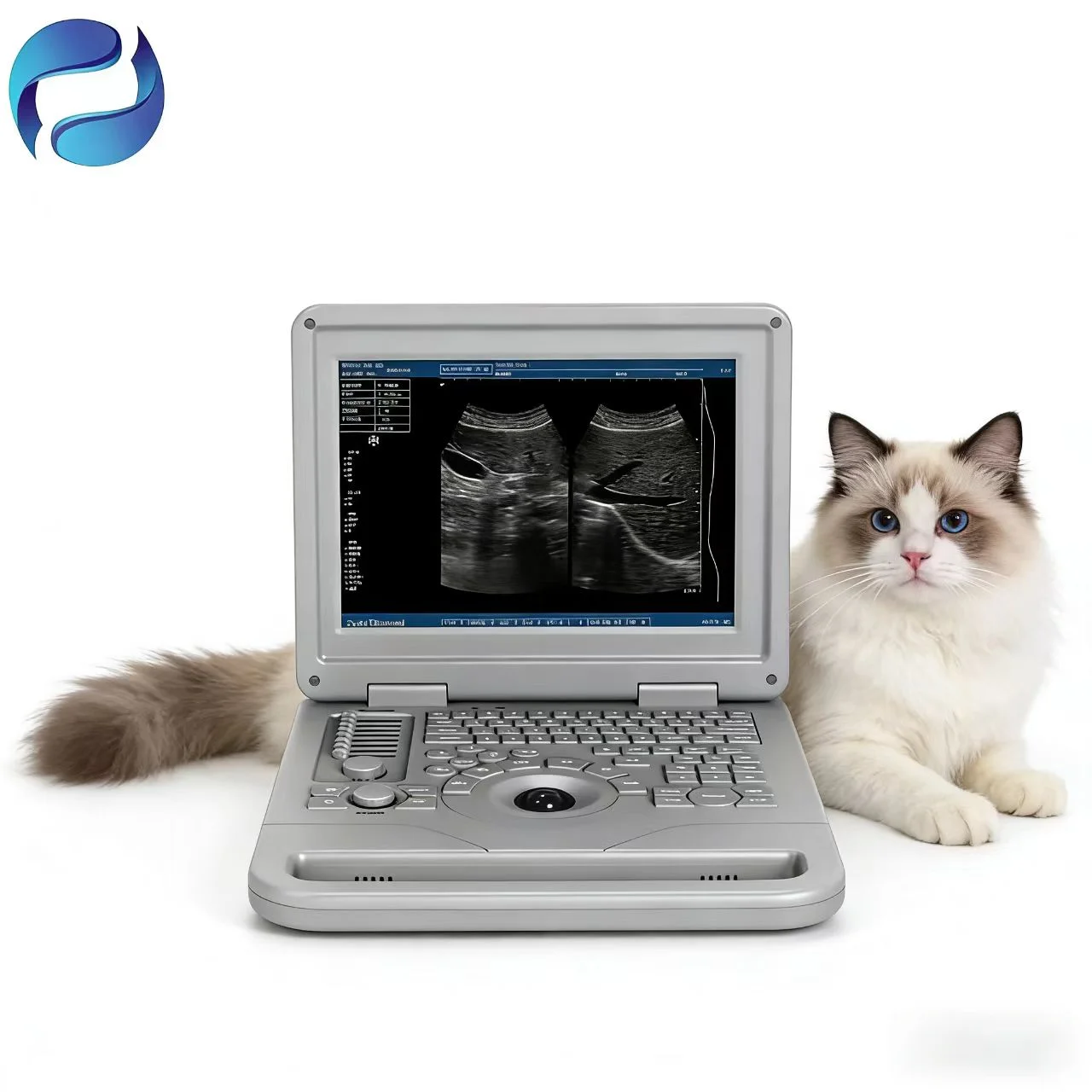 Factory Direct Price Medical Full Digital Ultrasound System for Animal Health Examination