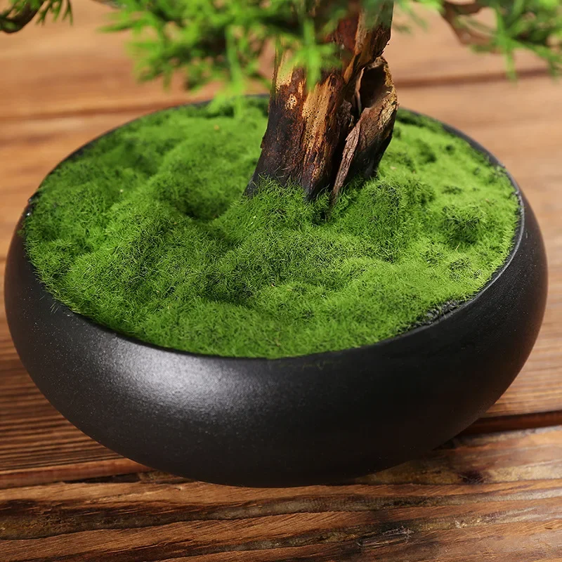 New Chinese-style simulated welcome pine Zen ornament, living room, hotel entrance, bonsai green plants, small potted plants, de