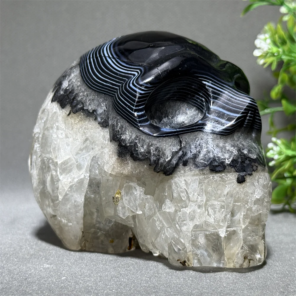 Natural Black Agate Hand-Carved Skull Energy Spiritual Healing Meditation Home Halloween Decoration Gift
