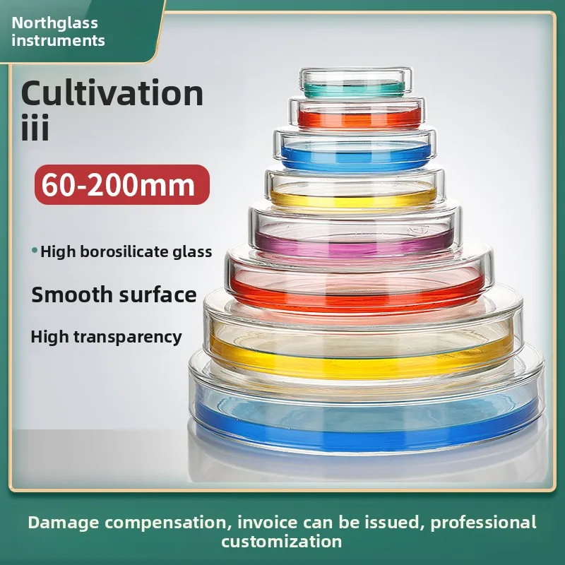 120mm 150mm Glass Petri Dish for Bacteria Cell Culture Lab Use High Quality